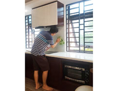 Tủ bếp nhựa phủ vân gỗ 3